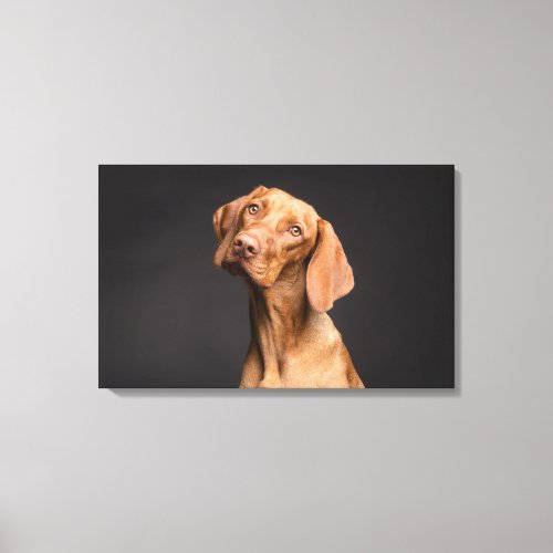 Brown Dog with Long Neck Canvas Print