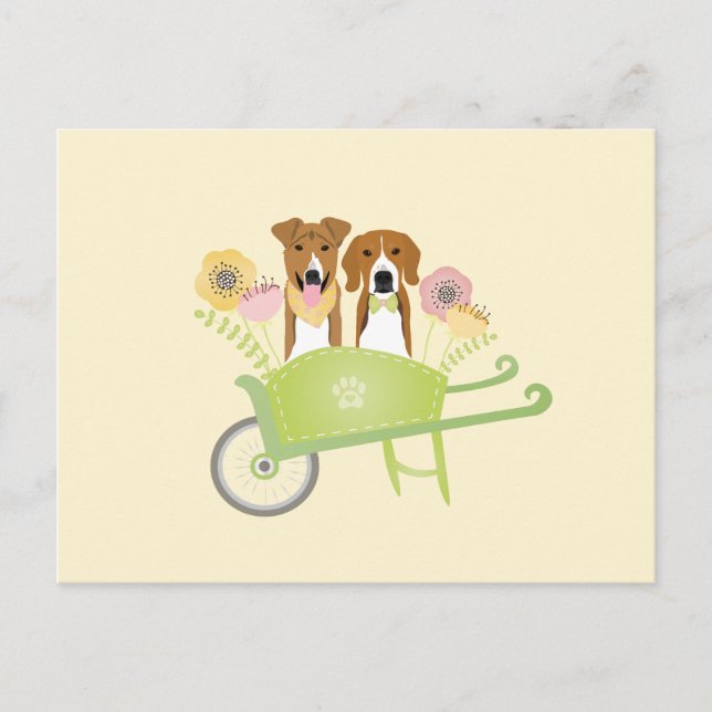 Brown Dogs In Wheelbarrow Spring Flowers Postcard (Front)