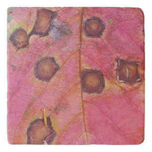 Brown Dotted Red Fall Leaf Trivet