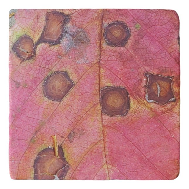 Brown Dotted Red Fall Leaf  Trivet (Front)
