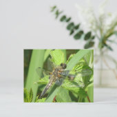 Brown Dragonfly DIY Postcard (Standing Front)