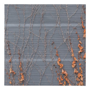 Brown dried leaves on water faux canvas print