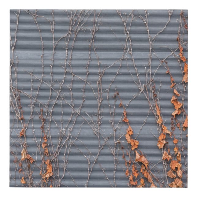 Brown dried leaves on water faux canvas print (Front)