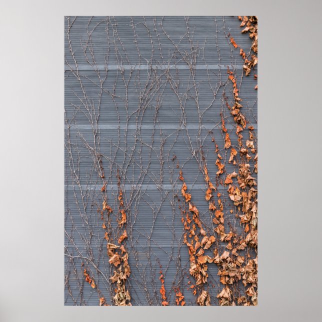 Brown dried leaves on water poster (Front)