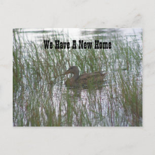 Brown Duck New Address Nature Postcard