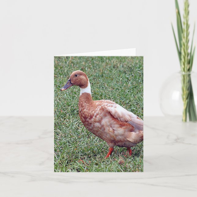 Brown Duck Photo Folded Note Card (Front)