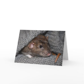 Brown Dumbo Rat Photo Greeting Card