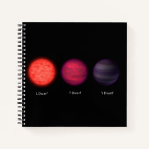 Brown Dwarfs As Seen By An Interstellar Traveler. Notebook