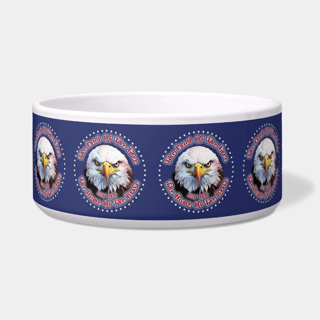 Brown Eagle Multiple Design Blue Background Bowl (Front)