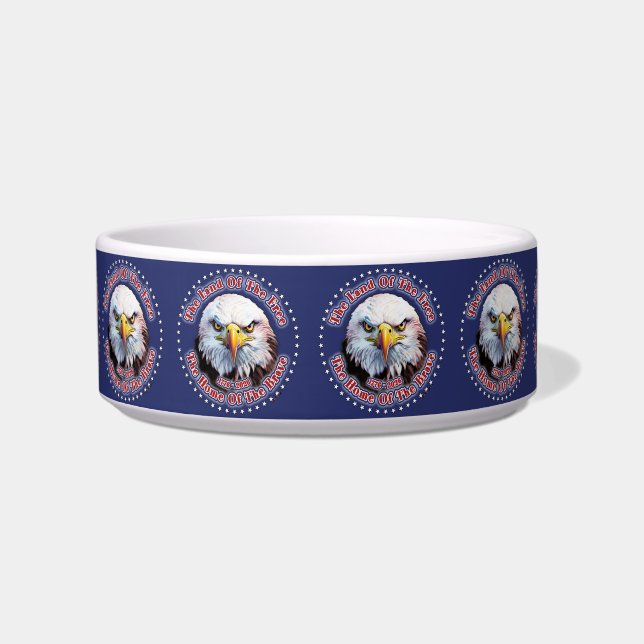 Brown Eagle Multiple Design Blue Background Bowl (Front)