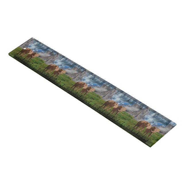 Brown Elephant Duo Oil Paint, Classroom Ruler (Angled)