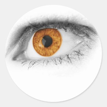 Brown Eye Art Classic Round Sticker by Recipecard at Zazzle