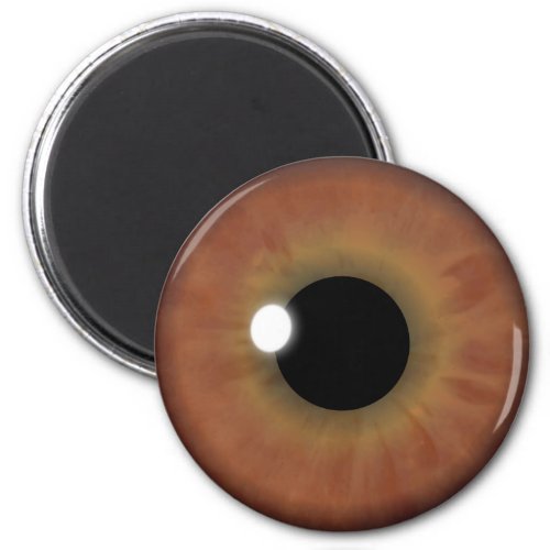 Brown Eye Iris Eyeball Cool Custom Round Magnets