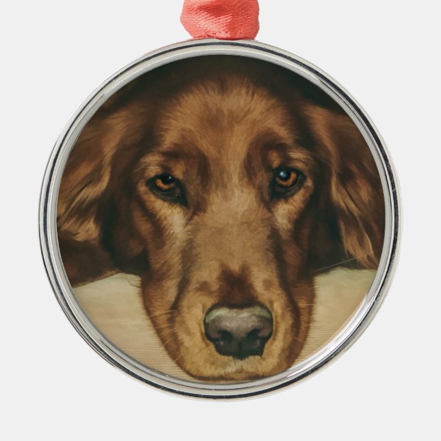 Brown Eyed Golden Irish Dog Metal Ornament (Front)