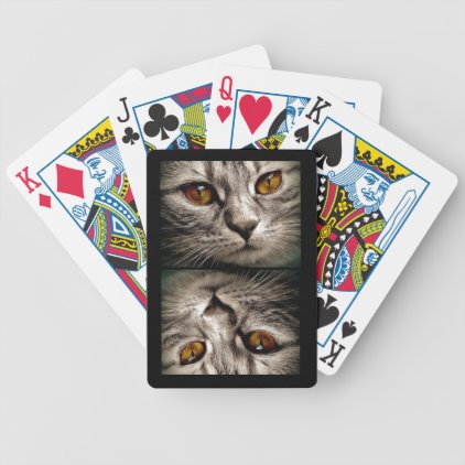 Brown Eyed Gray Tiger Cat Bicycle Playing Cards