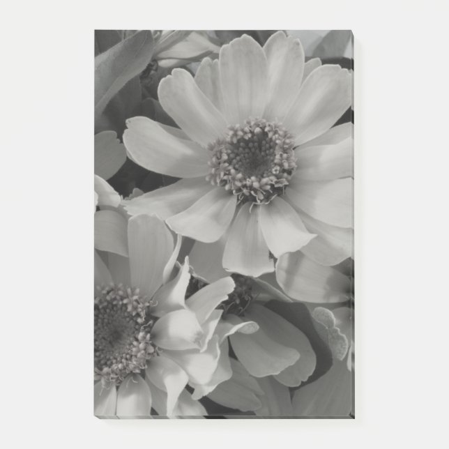 Brown Eyed Susan Flowers Post-it Notes (Front)