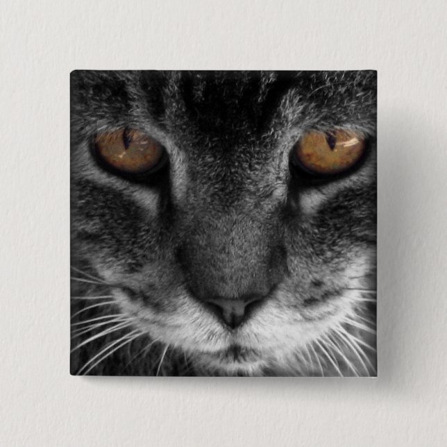 brown eyes pinback button (Front)