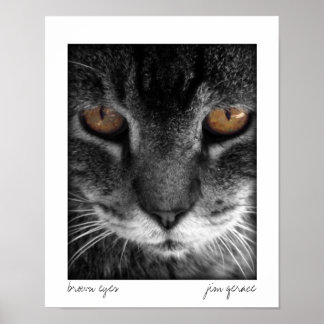 brown eyes poster