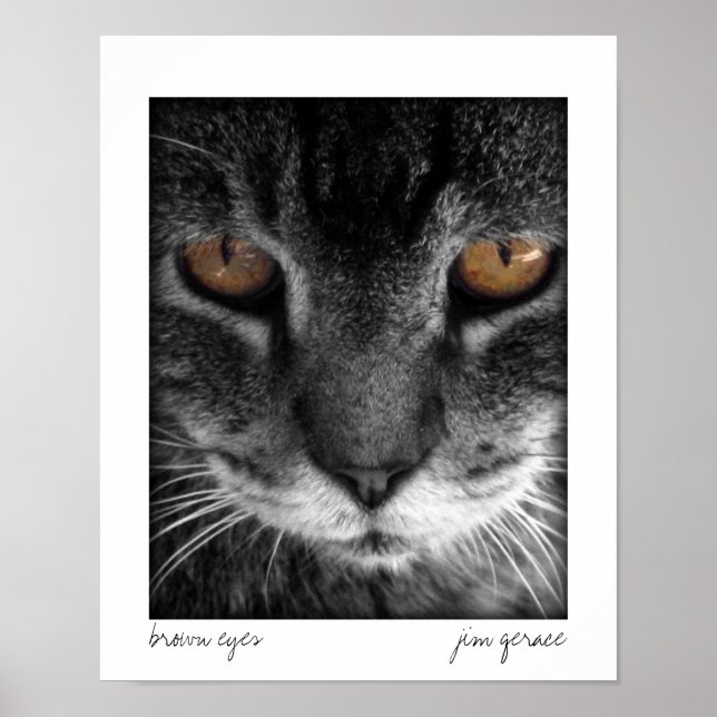 brown eyes poster (Front)