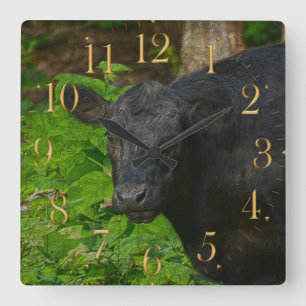 Brown Eyes - Steer and Forest Large Clock