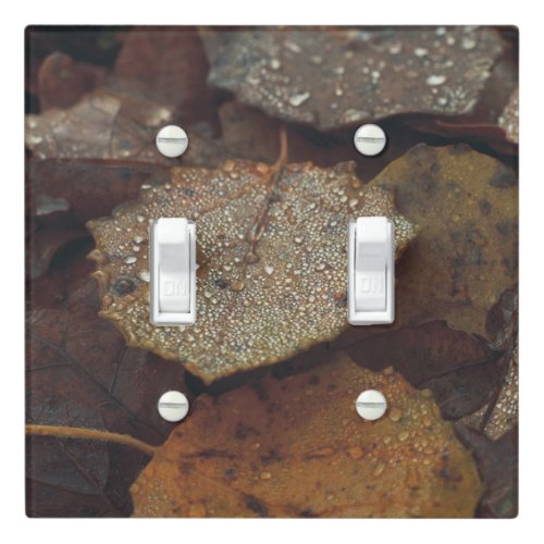 Brown fallen leaves after rain light switch cover