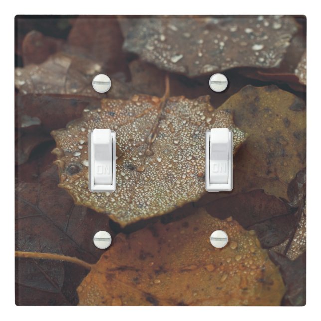 Brown fallen leaves after rain light switch cover (In Situ)