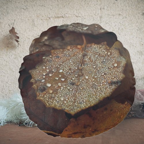 Brown fallen leaves after rain round pillow