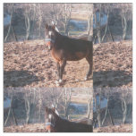 Brown Farm Horse Raleigh County Fabric