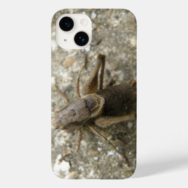 Brown Field Cricket Case-Mate iPhone Case (Back)
