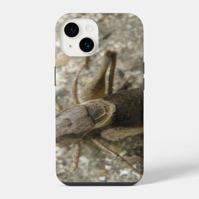 Brown Field Cricket Iphone Case (Back)