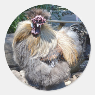 Brown Fluffy Ugly Chicken, Classic Round Sticker
