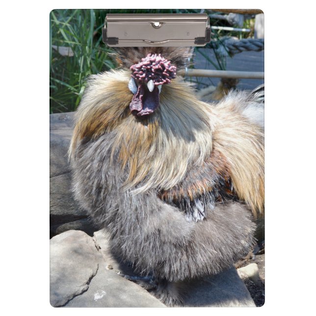 Brown Fluffy Ugly Chicken, Clipboard (Front)