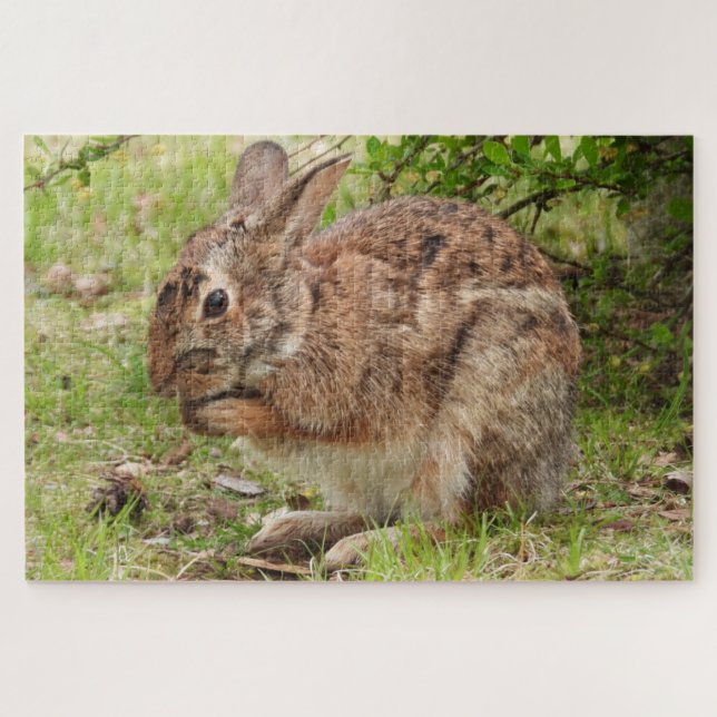Brown Fluffy wild Bunny Rabbit praying Jigsaw Puzzle (Horizontal)