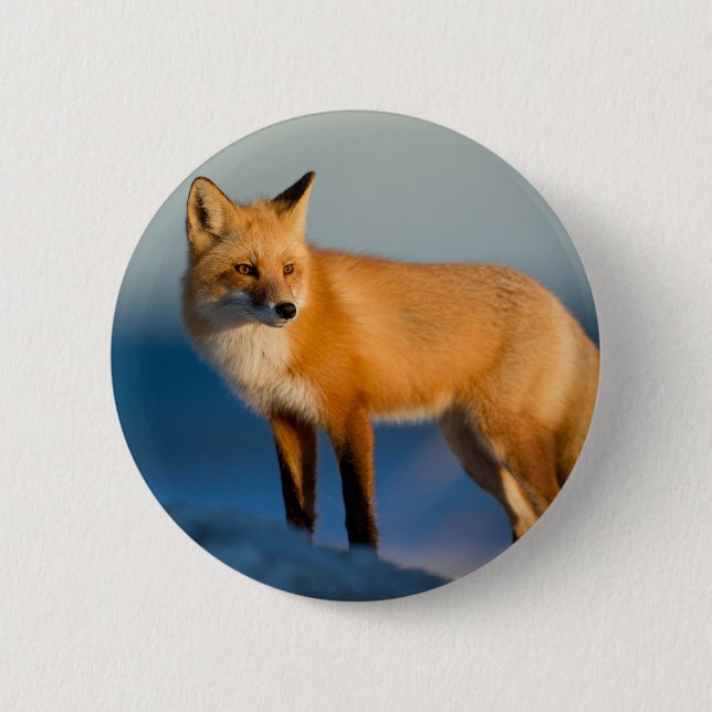 Brown Fox Button (Front)