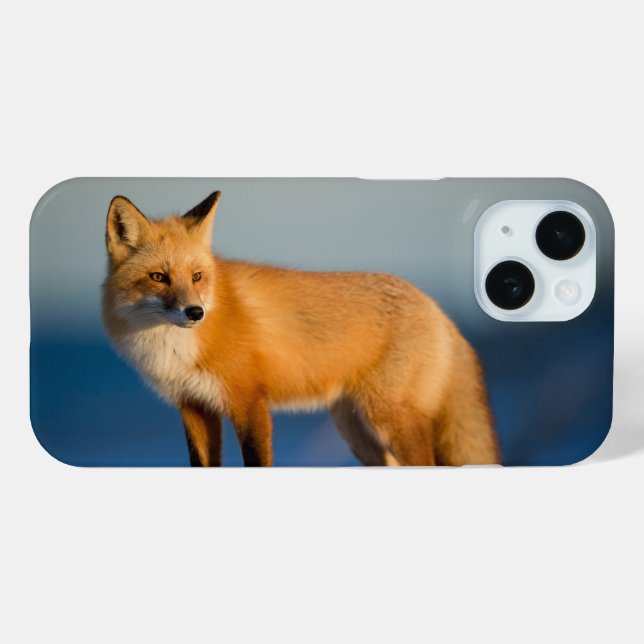 Brown Fox Case-Mate iPhone Case (Back (Horizontal))