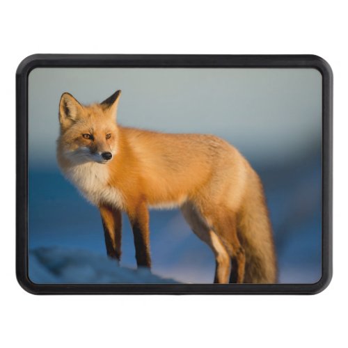 Brown Fox Hitch Cover