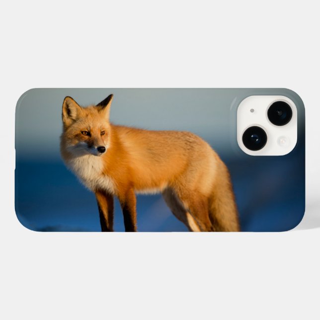 Brown Fox iPhone 14 Case (Back (Horizontal))
