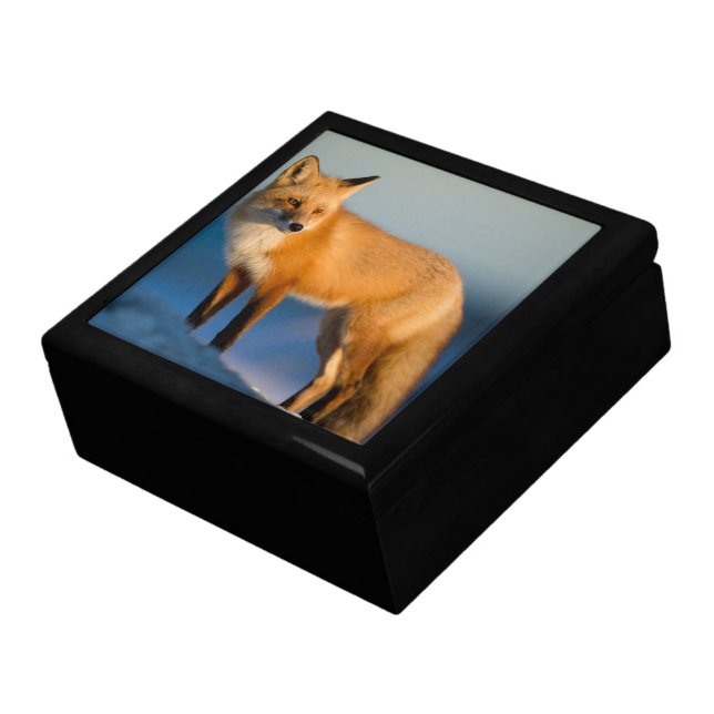 Brown Fox Jewelry Box (Side)
