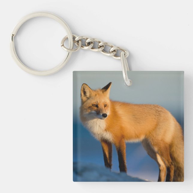 Brown Fox Keychain (Front)
