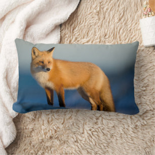 Brown Fox Lumbar Pillow