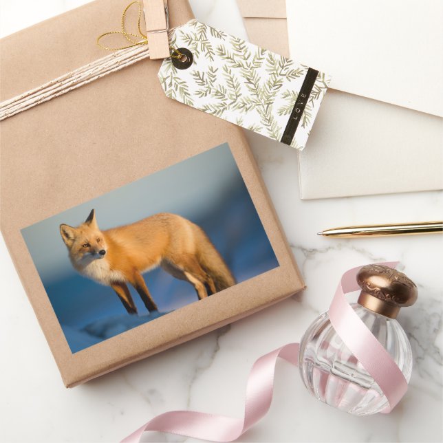 Brown Fox Rectangular Sticker (Gifting)