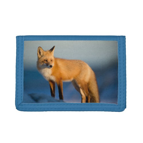 Brown Fox Trifold Wallet