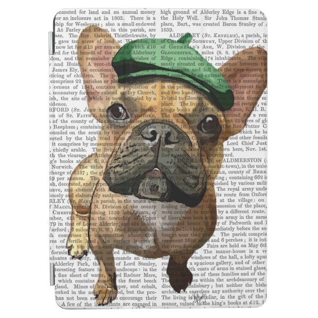 Brown French Bulldog with Green Hat 2 iPad Air Cover (Front)