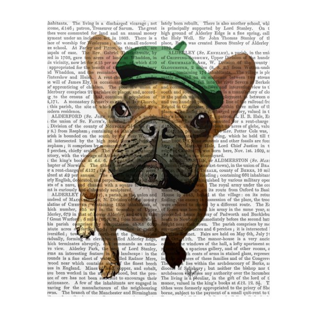 Brown French Bulldog with Green Hat Acrylic Print (Front)