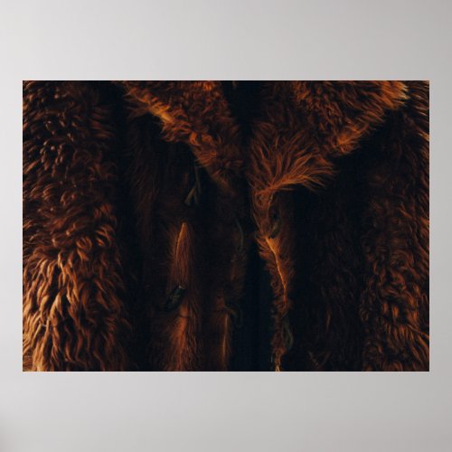 Brown fur coat poster