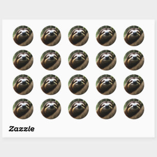 Brown Fuzzy Sloth, Classic Round Sticker