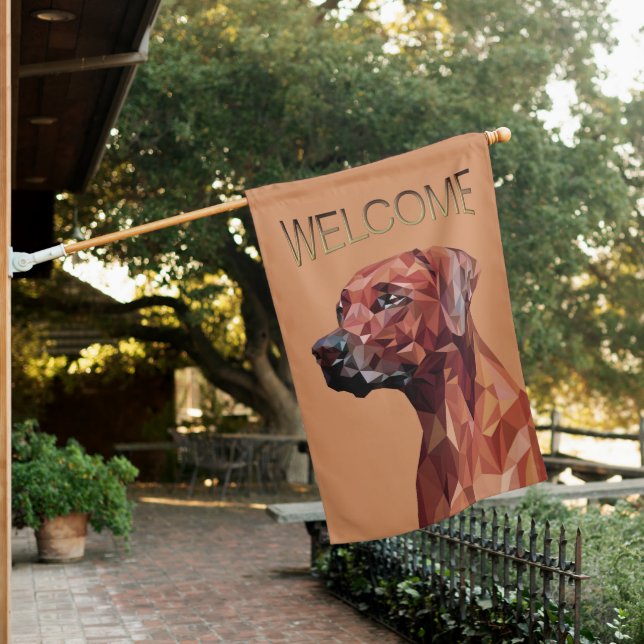 Brown Geometric Dog on Brown House Flag (In SItu)