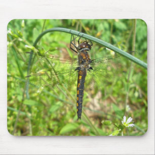 Brown Gold Dragonfly Mousepad
