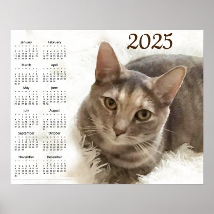 Brown Gray Tabby Cat 2025 Animal Calendar Poster