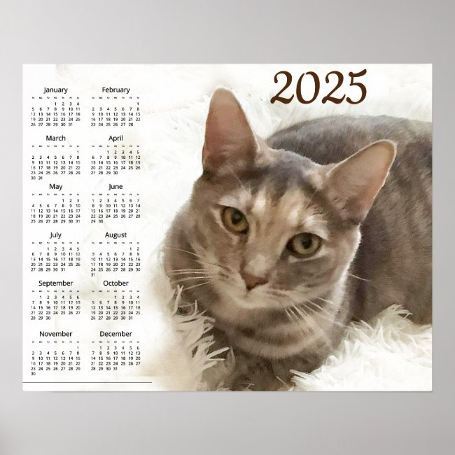 Brown Gray Tabby Cat 2025 Animal Calendar Poster